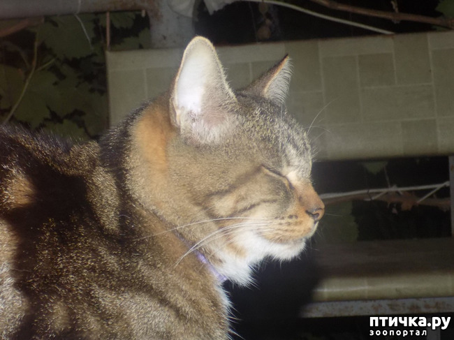 ���� 9: ���� ������ ���. �Ѩ �� �����.