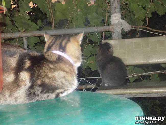 ���� 10: ���� ������ ���. �Ѩ �� �����.