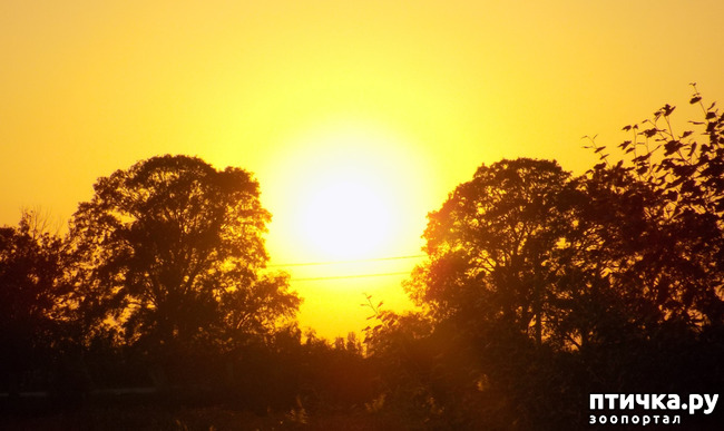 ���� 12: ���� ������ ���. �Ѩ �� �����.