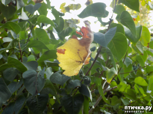 ���� 13: ���� ������ ���. �Ѩ �� �����.