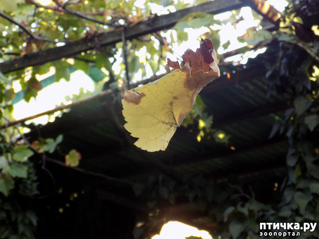 ���� 14: ���� ������ ���. �Ѩ �� �����.