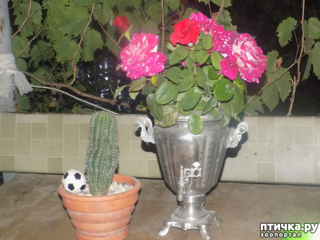 ���� 15: ���� ������ ���. �Ѩ �� �����.