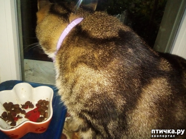 ���� 18: ���� ������ ���. �Ѩ �� �����.