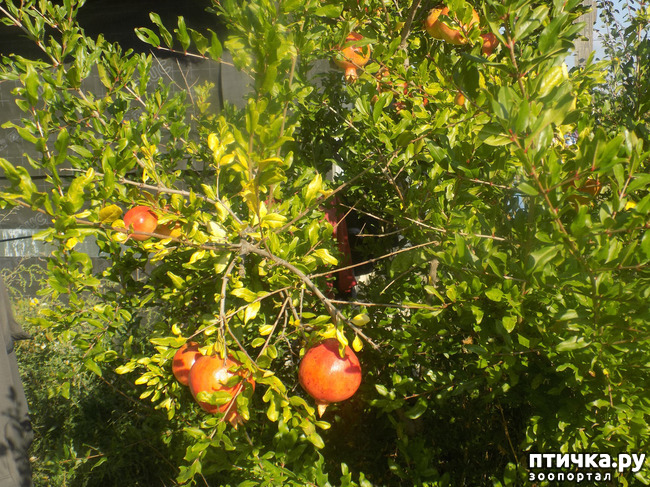 ���� 19: ���� ������ ���. �Ѩ �� �����.