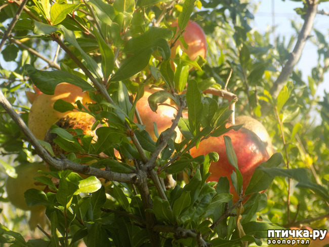 ���� 20: ���� ������ ���. �Ѩ �� �����.