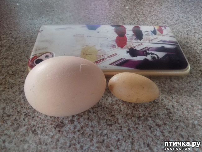 ���� 22: ���� ������ ���. �Ѩ �� �����.