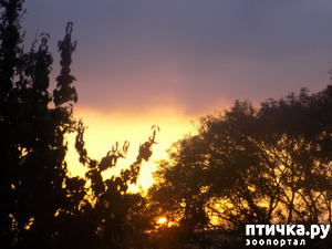 ����: ���� ������ ���. �Ѩ �� �����.