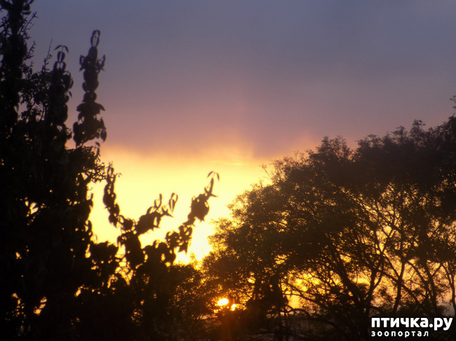 ���� 1: ���� ������ ���. �Ѩ �� �����.