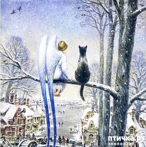 ����: ������ � ���