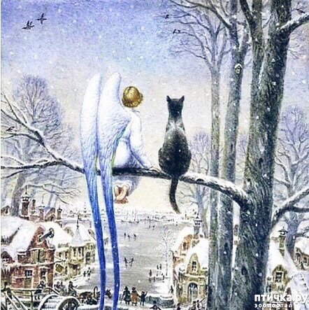 ���� 1: ������ � ���