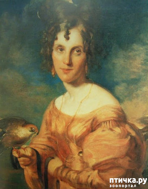 ����: �������� ����: ��������� �����������.