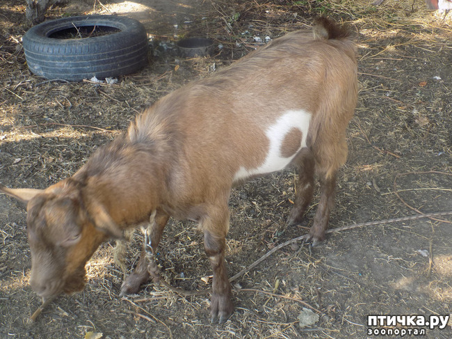 ���� 2: ������� ��� ���.