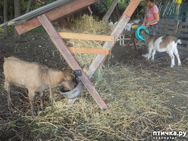 ���� 3: ������� ��� ���.