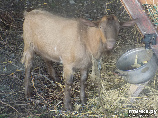 ���� 4: ������� ��� ���.