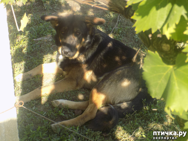 ���� 6: ������� ��� ���.