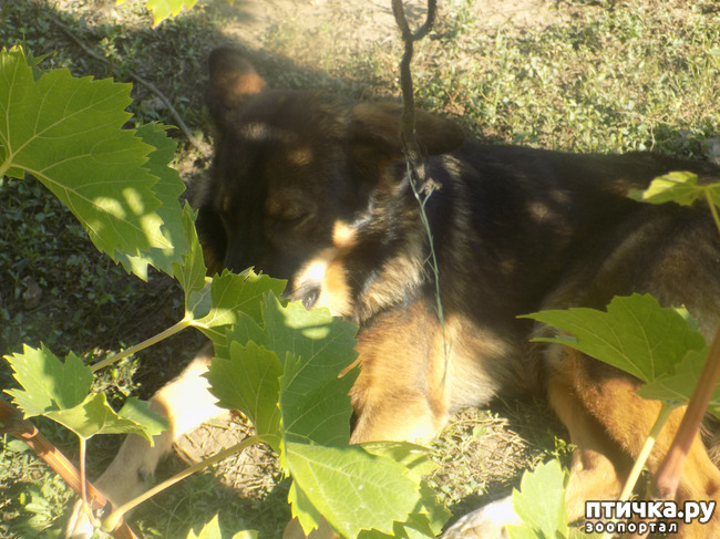 ���� 7: ������� ��� ���.