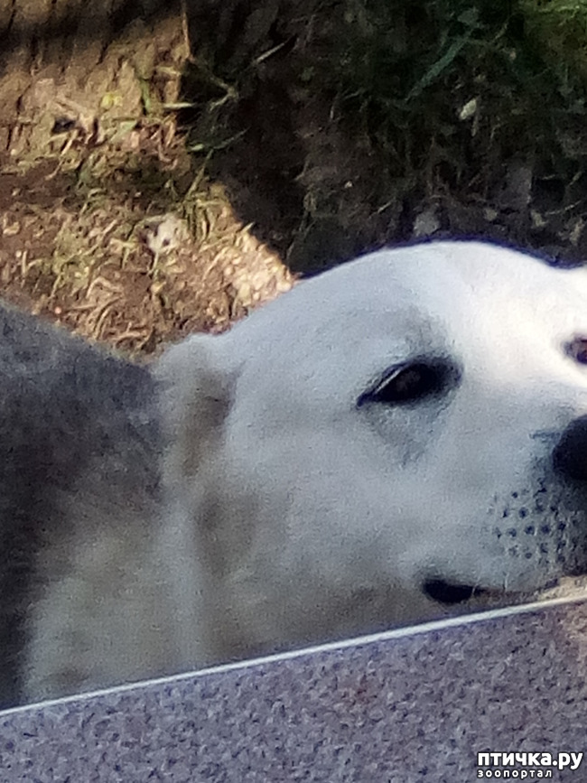 ���� 8: ������� ��� ���.