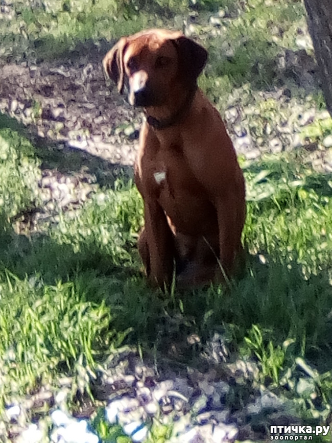 ���� 9: ������� ��� ���.