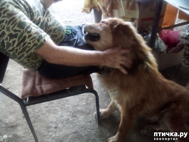 ���� 11: ������� ��� ���.