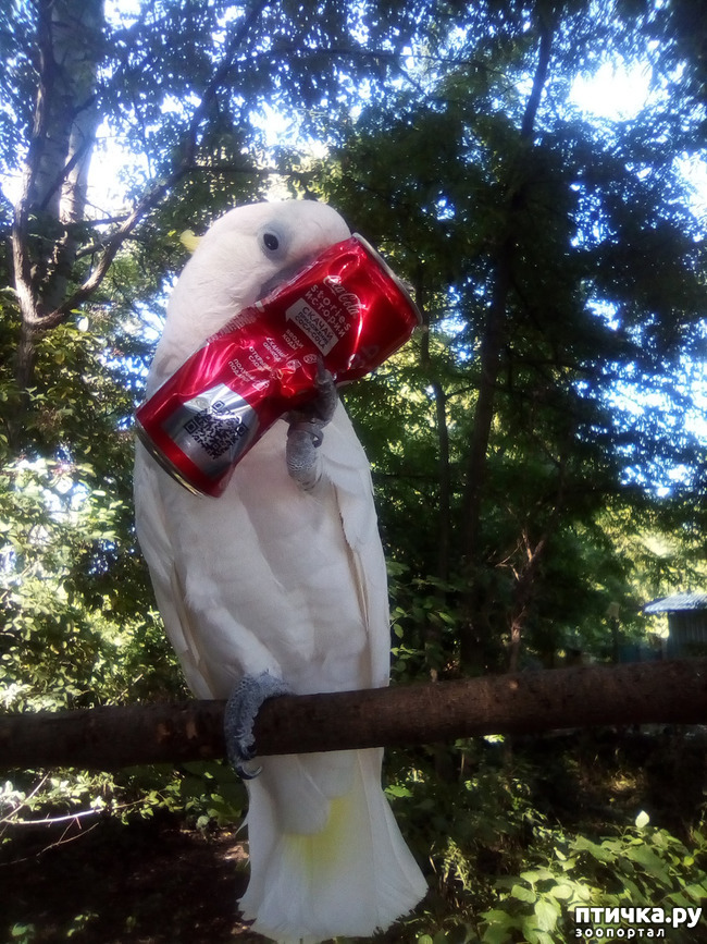 ���� 12: ������� ��� ���.