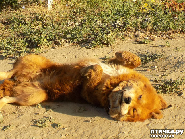 ���� 13: ������� ��� ���.