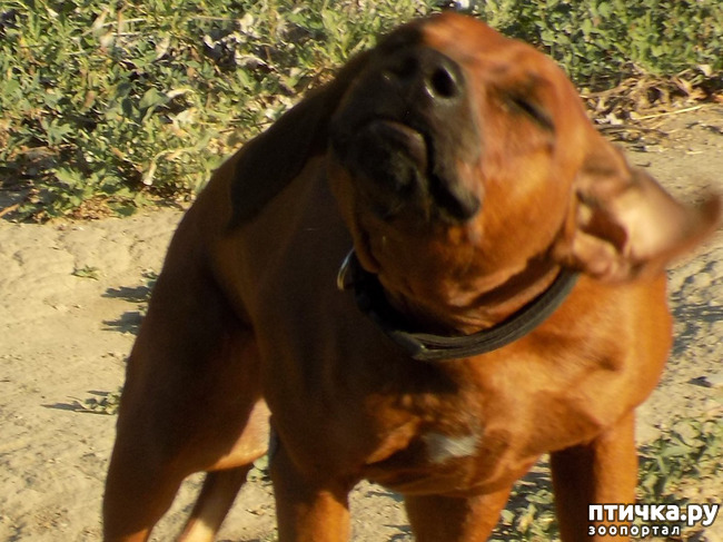 ���� 14: ������� ��� ���.