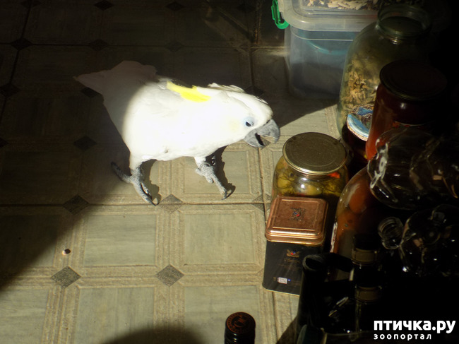 ���� 15: ������� ��� ���.