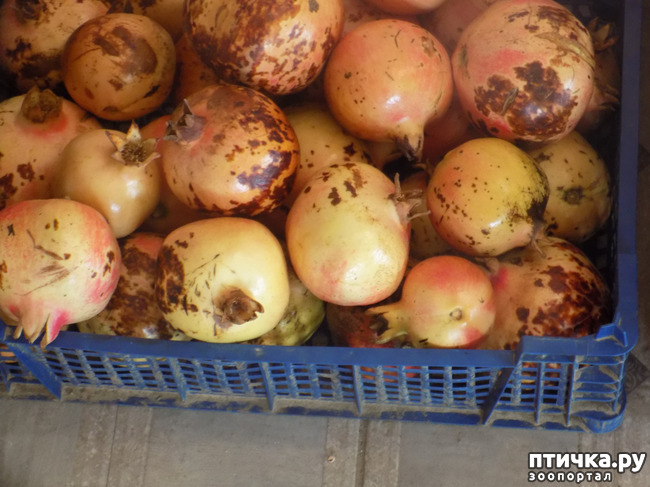 ���� 16: ������� ��� ���.