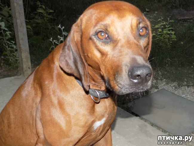 ���� 17: ������� ��� ���.