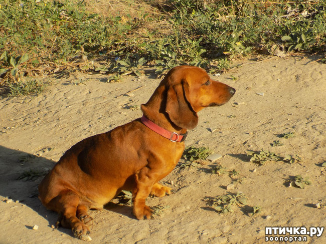 ���� 18: ������� ��� ���.