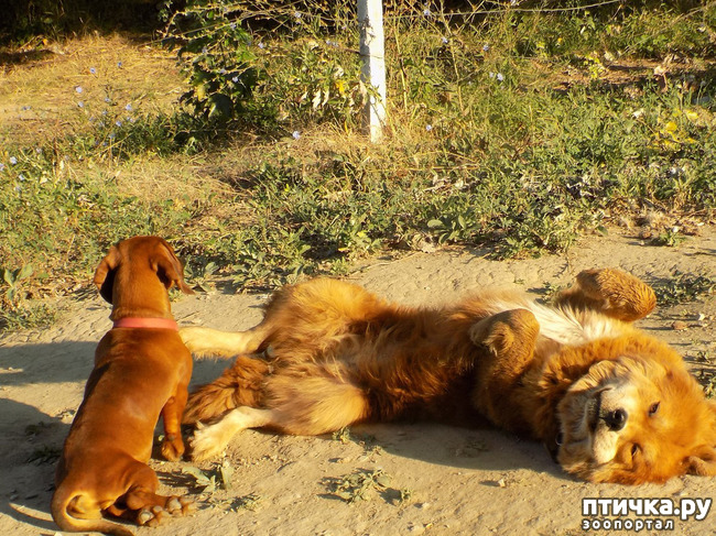 ���� 19: ������� ��� ���.