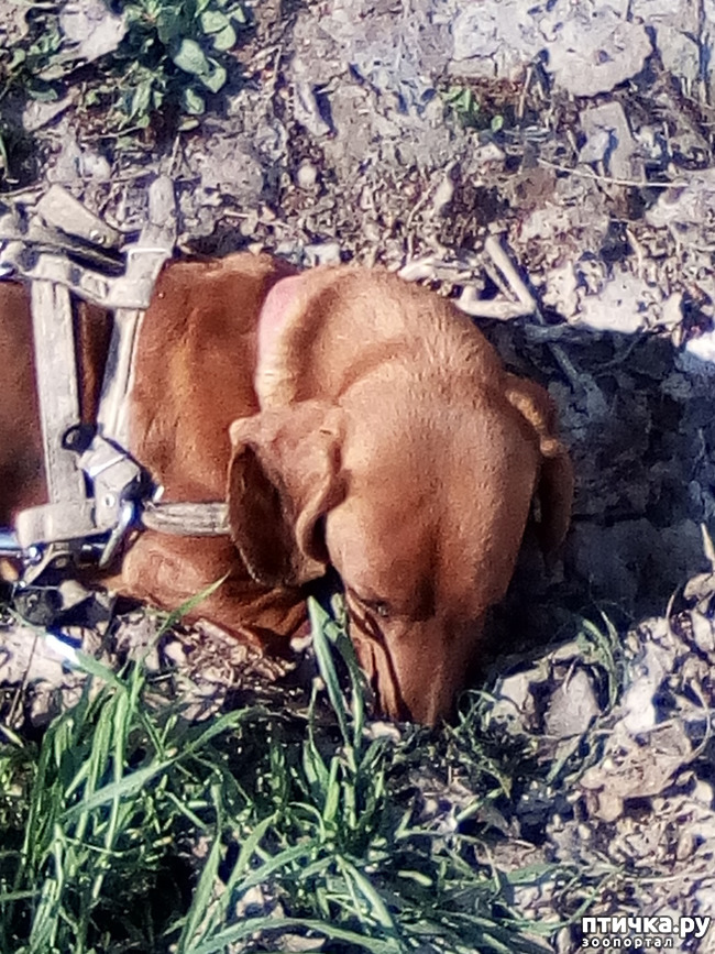 ���� 20: ������� ��� ���.