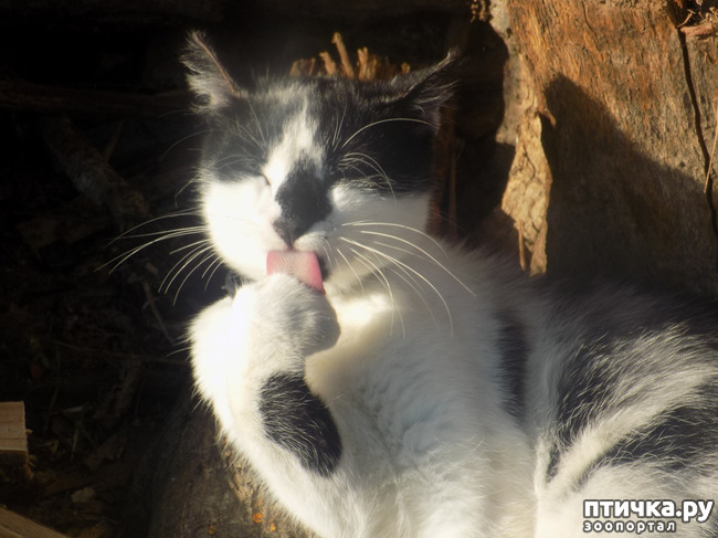 ���� 21: ������� ��� ���.