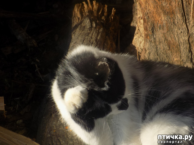 ���� 22: ������� ��� ���.