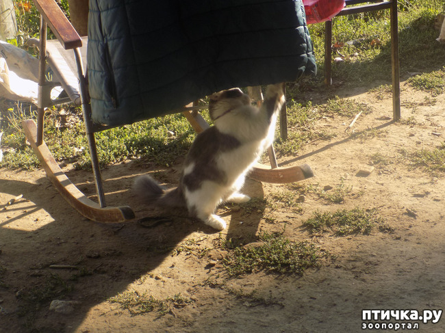 ���� 23: ������� ��� ���.