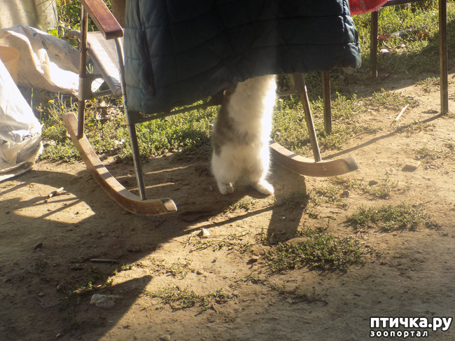 ���� 24: ������� ��� ���.