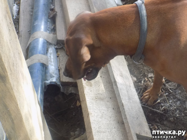 ���� 25: ������� ��� ���.