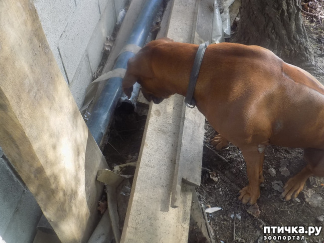 ���� 26: ������� ��� ���.