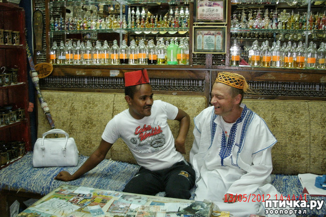 ���� 52: ������. ����������.