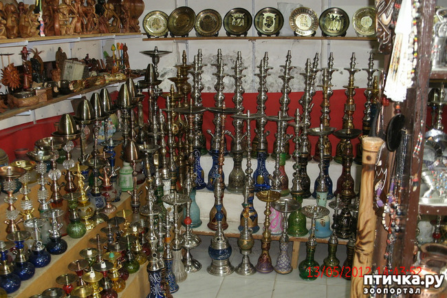 ���� 54: ������. ����������.