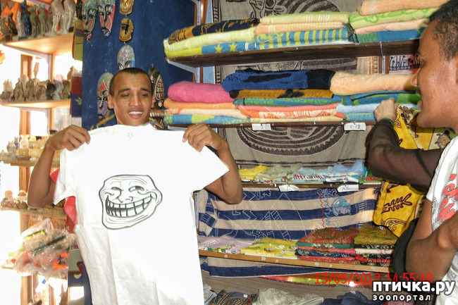 ���� 55: ������. ����������.