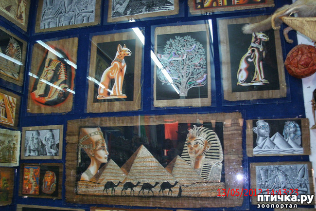 ���� 56: ������. ����������.