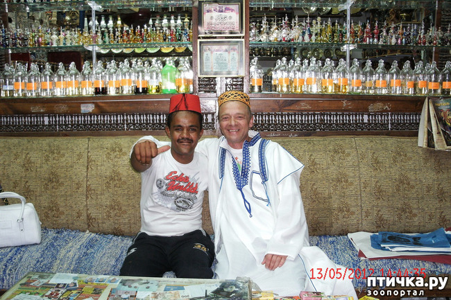 ���� 51: ������. ����������.