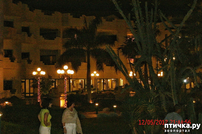 ���� 37: ������. ����������.