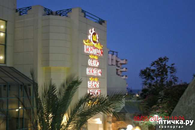 ���� 36: ������. ����������.