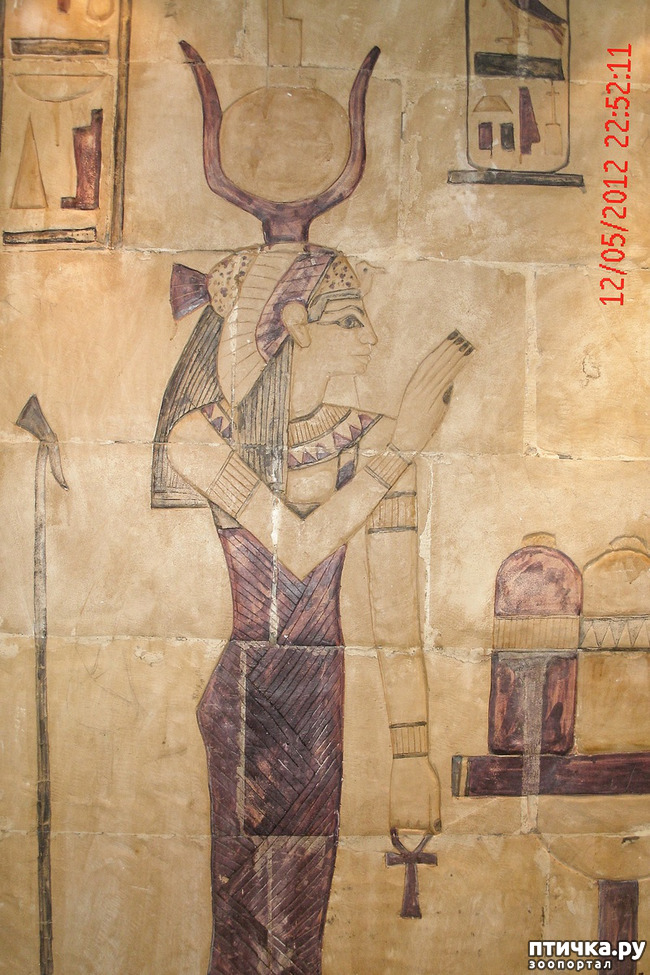 ���� 39: ������. ����������.