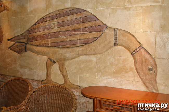 ���� 40: ������. ����������.