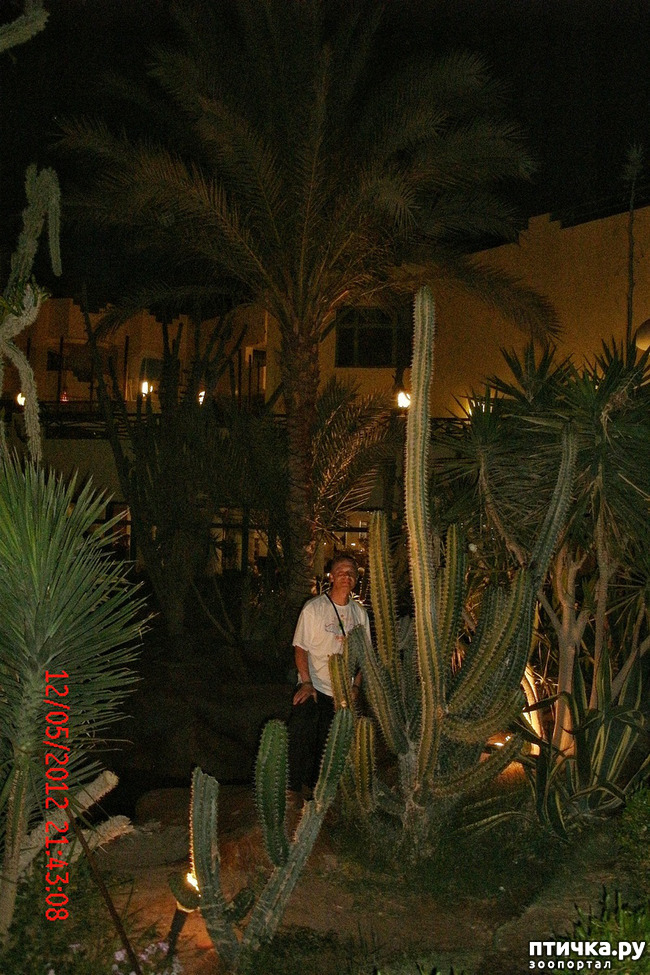 ���� 38: ������. ����������.