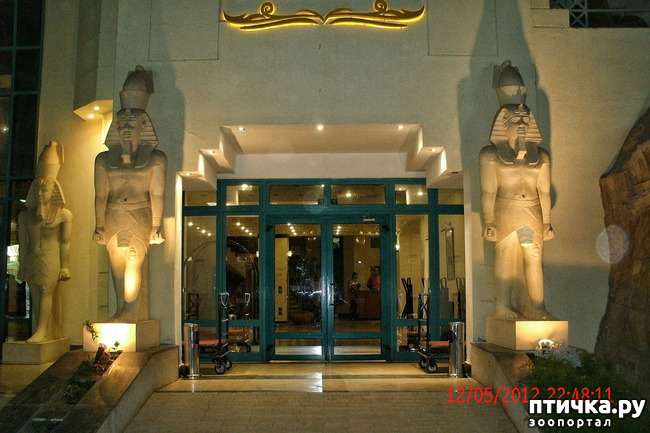 ���� 41: ������. ����������.