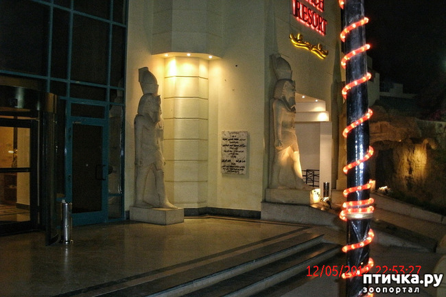 ���� 43: ������. ����������.